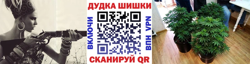 Конопля сатива Ясногорск